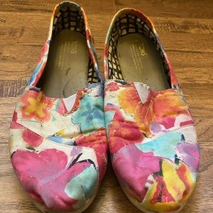 Colorful flower spring Toms